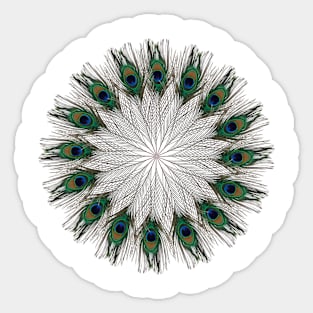 Simple Peacock Mandala Sticker